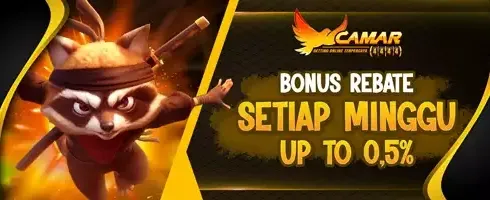 VIP Rebate Mingguan Slot Game image